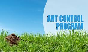 Outdoor Ant Control