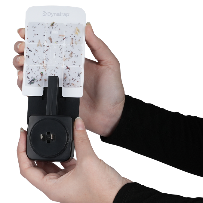 Replacement Glue Card for Dynatrap Indoor ILT