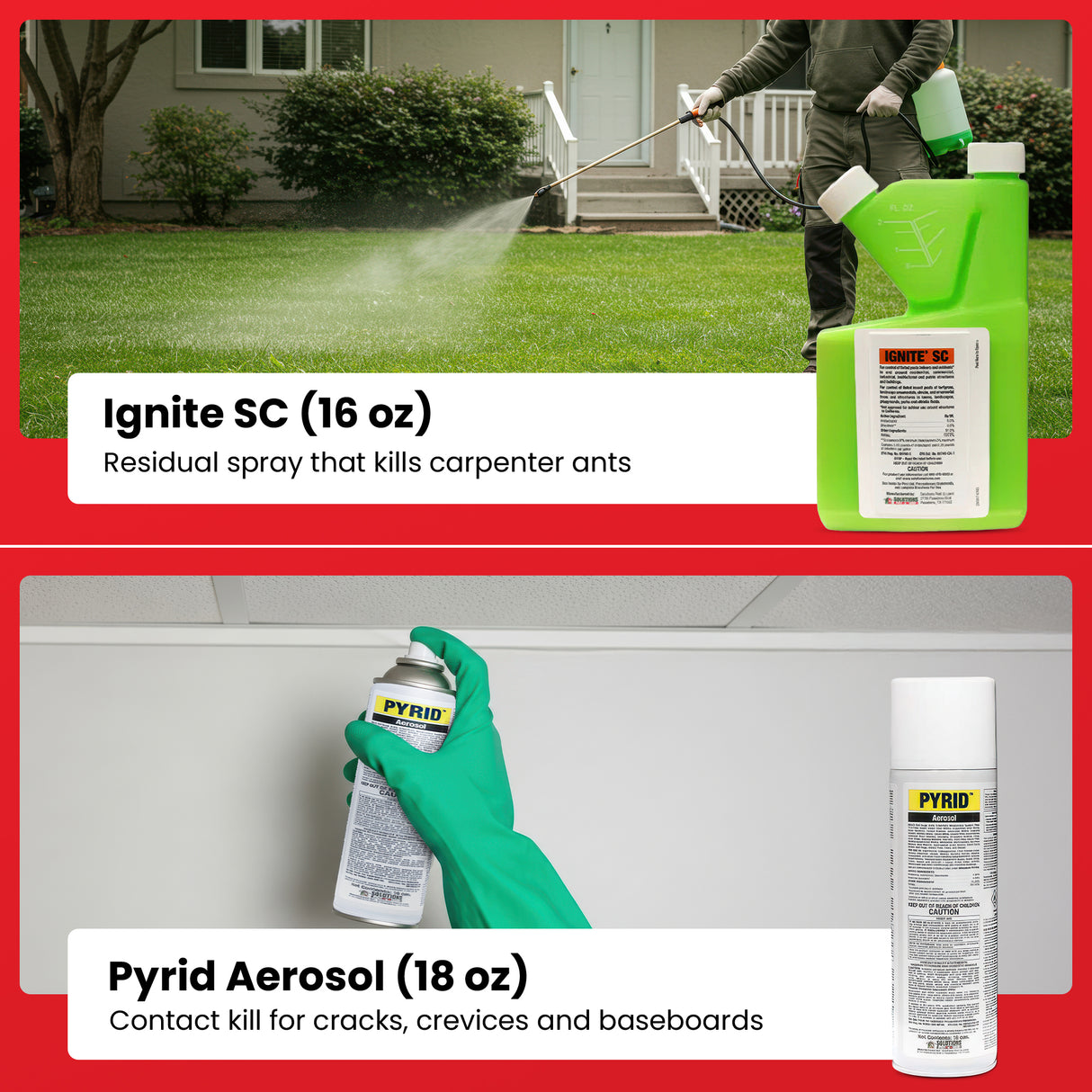 All-In-One Carpenter Ant Control Kit