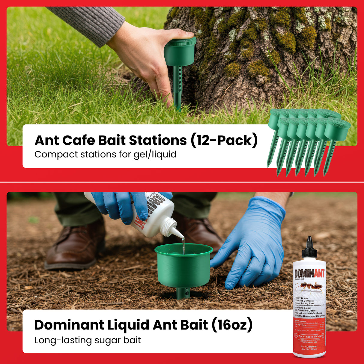 All-In-One Ant Control Kit