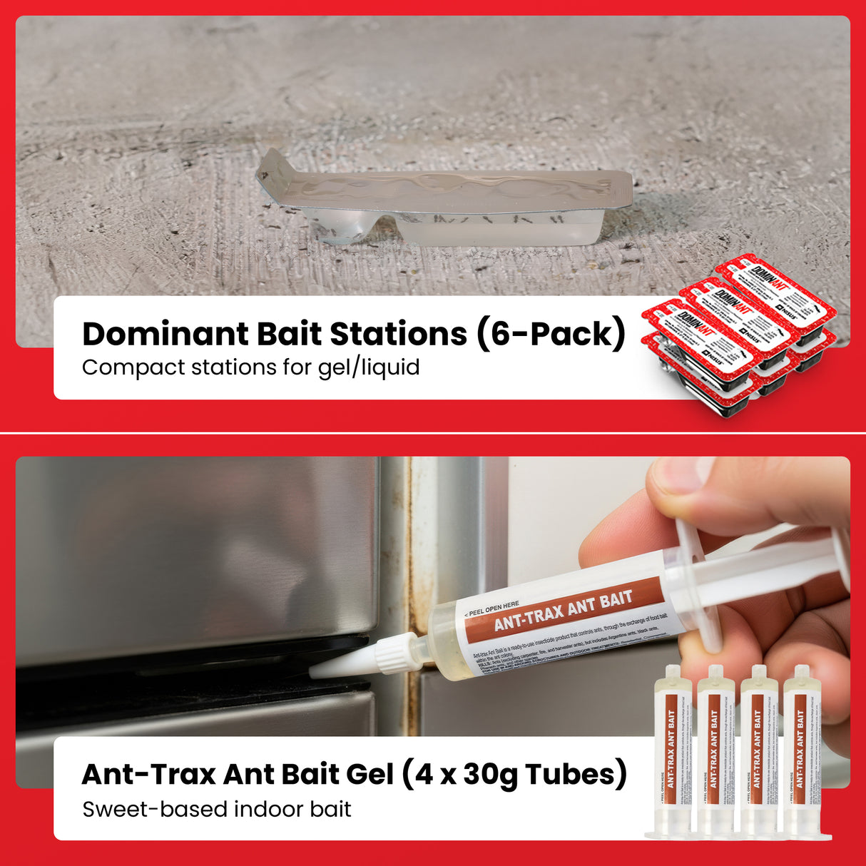 All-In-One Carpenter Ant Control Kit