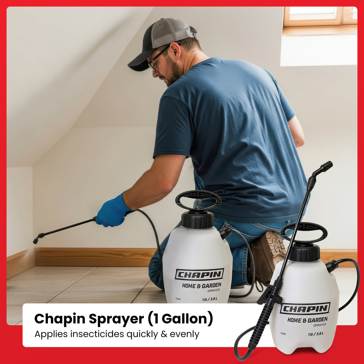 All-In-One Ant Control Kit