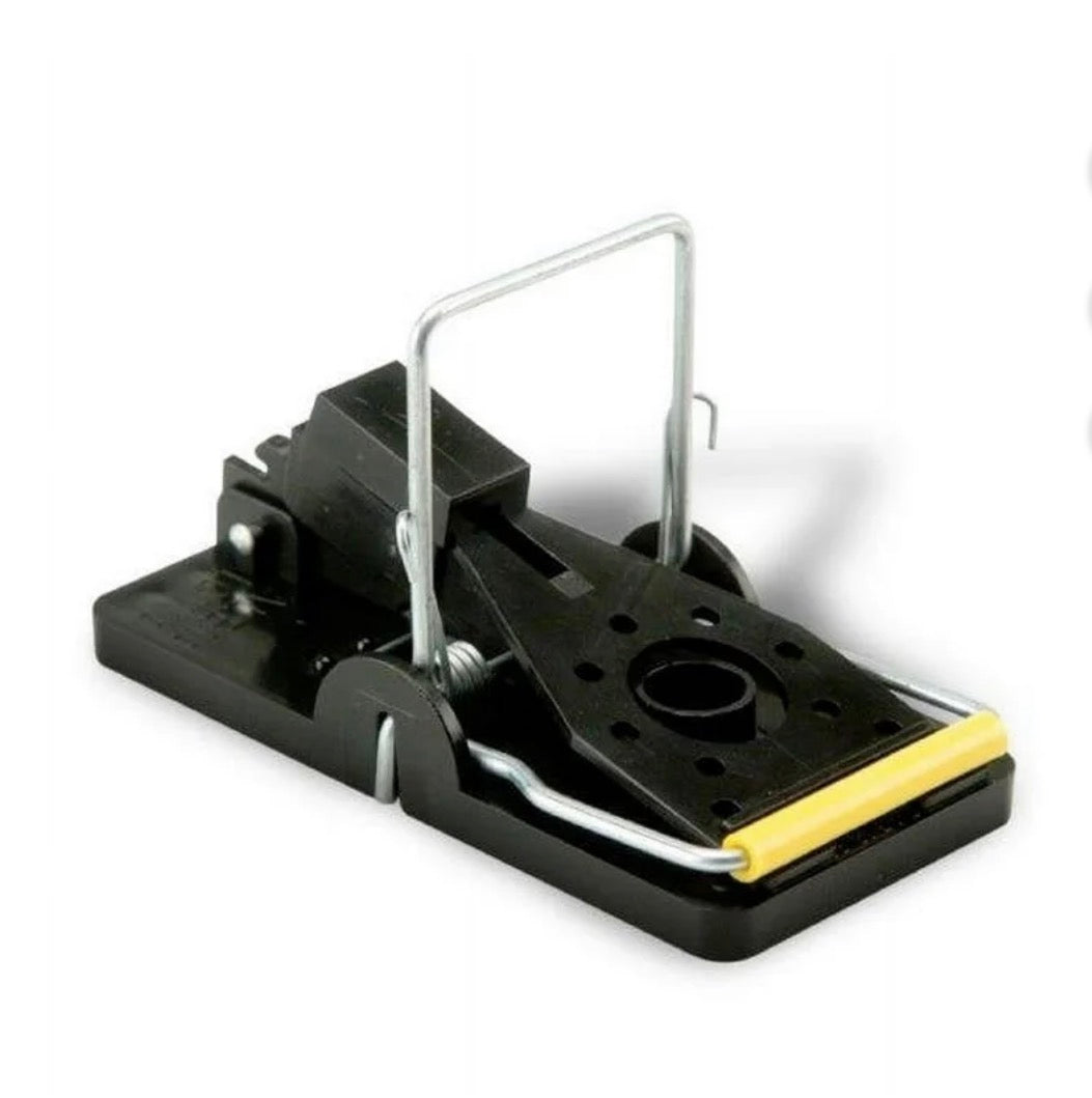 Solutions Easy Set Mouse Trap