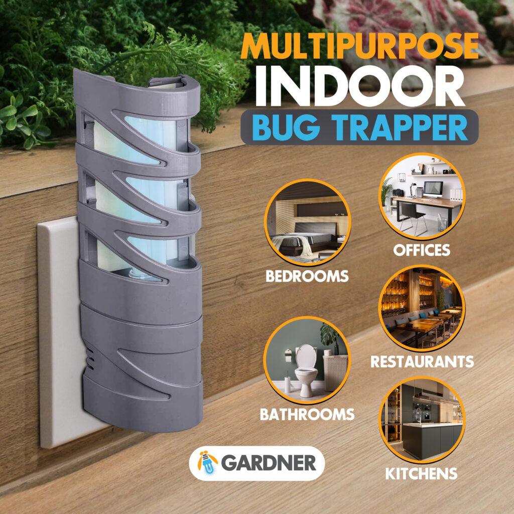 FlyWeb Classic Plug-In Fly Light