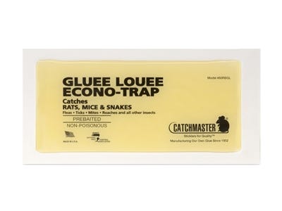 Catchmaster Gluee Louee Econo-Trap 60RBGL Glue Boards
