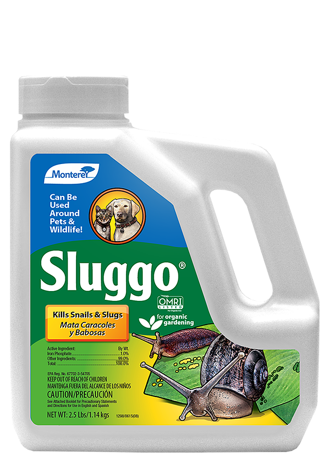Sluggo Snail & Slug