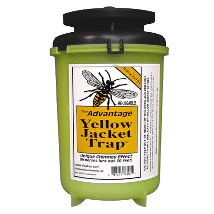 Advantage Yellow Jacket Traps