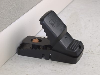 Trapper T-Rex Rat Snap Trap