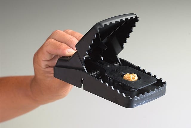 Trapper T-Rex Rat Snap Trap