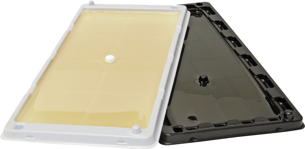 Catchmaster 48R Rat Glue Tray