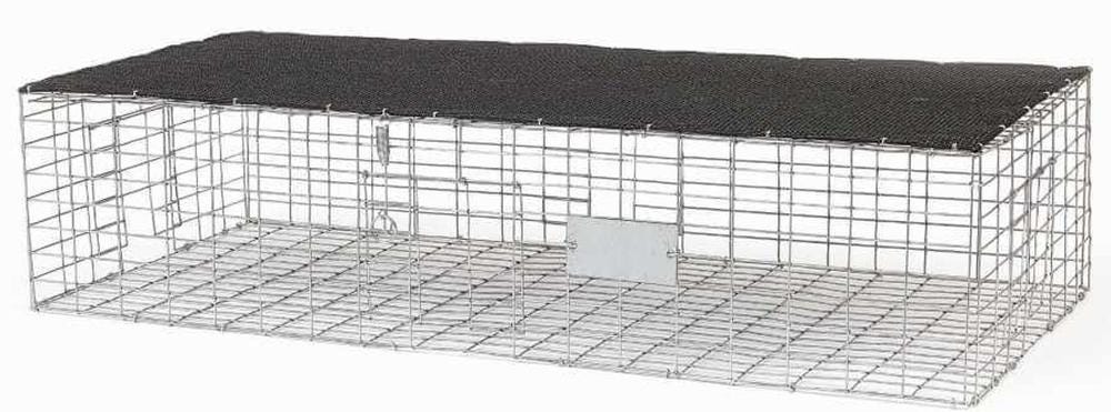 Pigeon Trap 36 x 16 x 8