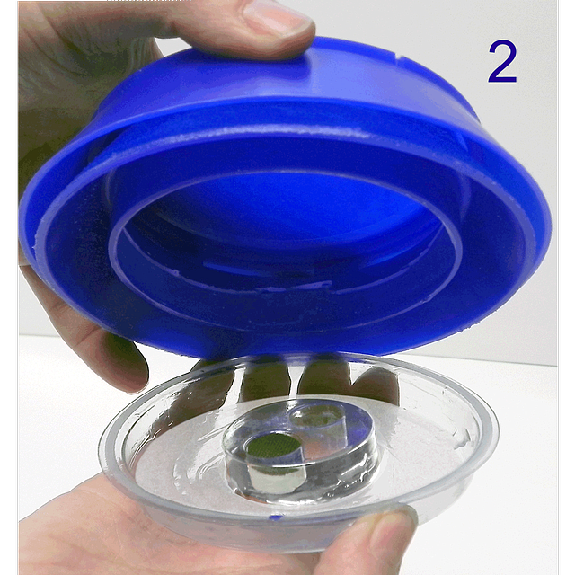 Xlure RTU Multi-Species Stored Product Beetle Trap