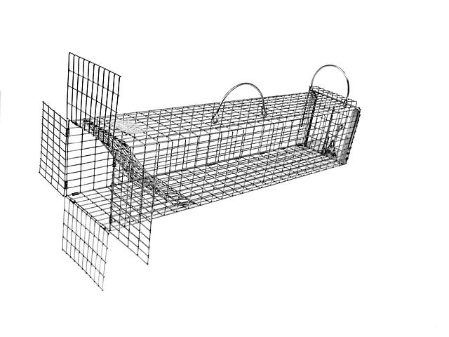 Excluder Squirrel & Rat Cage Trap