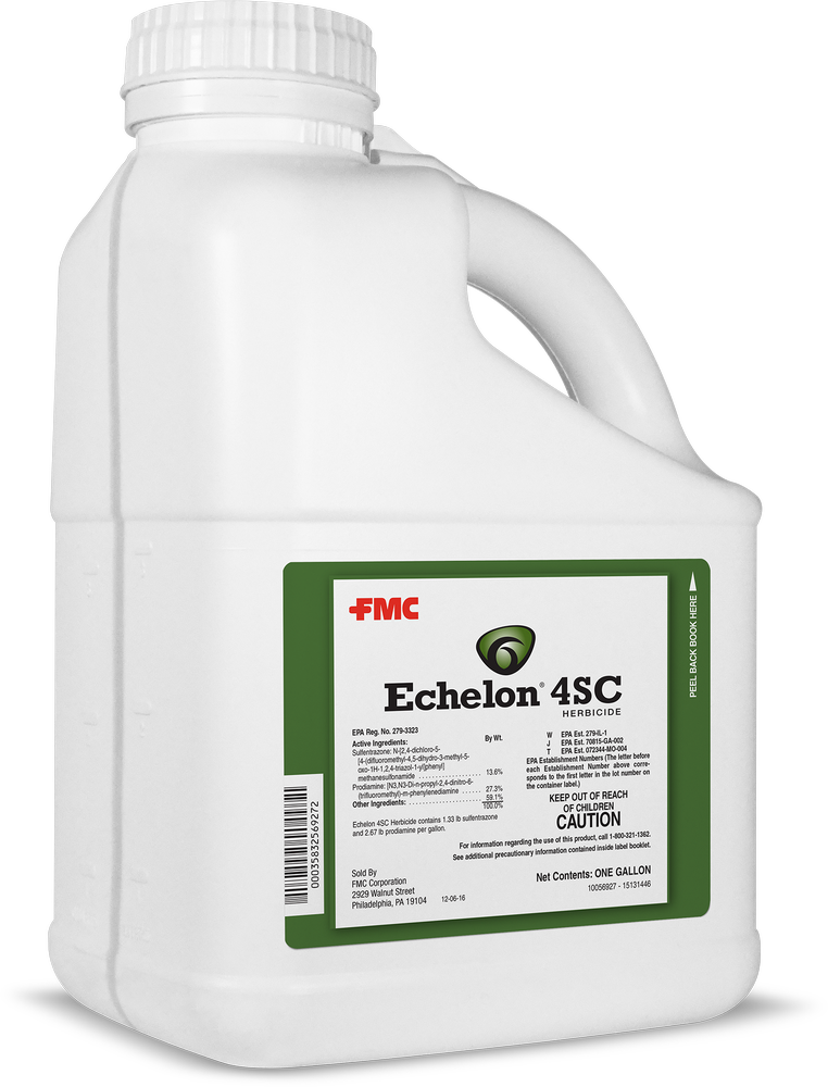 Echelon 4SC Herbicide