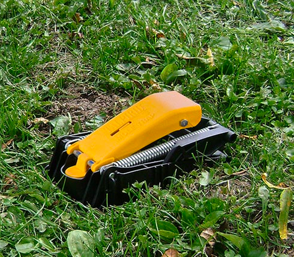 TALPIRID Mole Trap
