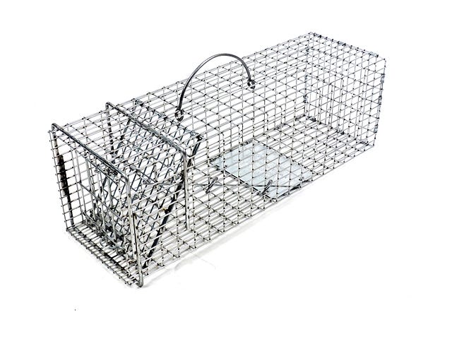 Model 103SS Pro-Series Squirrel Trap
