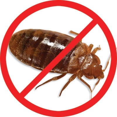 Cimi-Shield Knock-Out