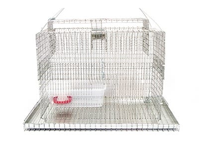 Sparrow Sky Trap