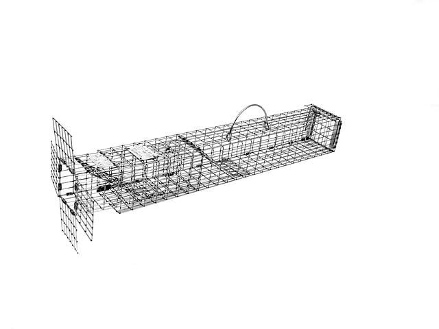 Squirrel Pack Squirrel Removal System SP30