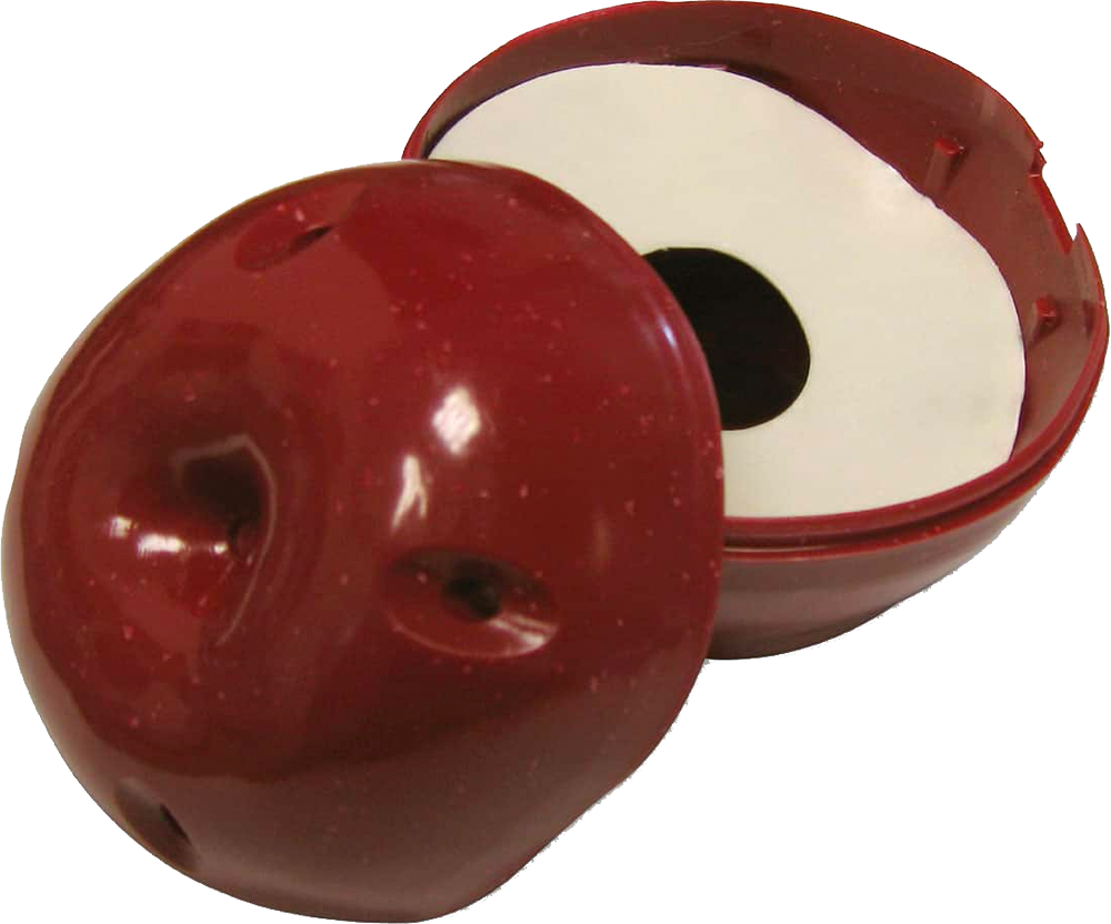 Trapple Fruit Fly Trap - Box of 6 Traps