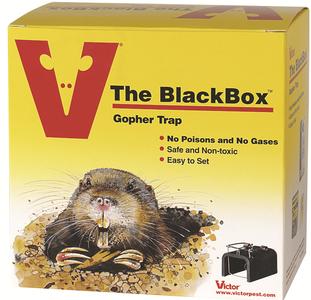 Victor The Black Box Gopher Trap