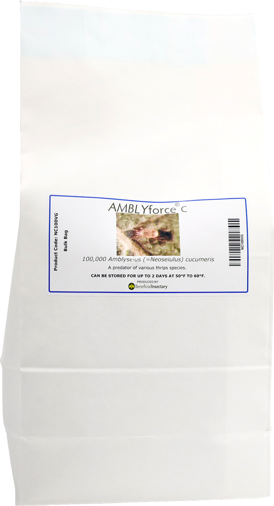 AMBLYforce C with Vermiculite