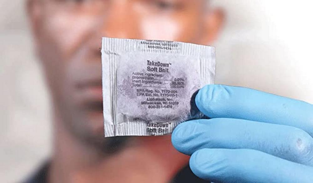 TakeDown II Soft Bait