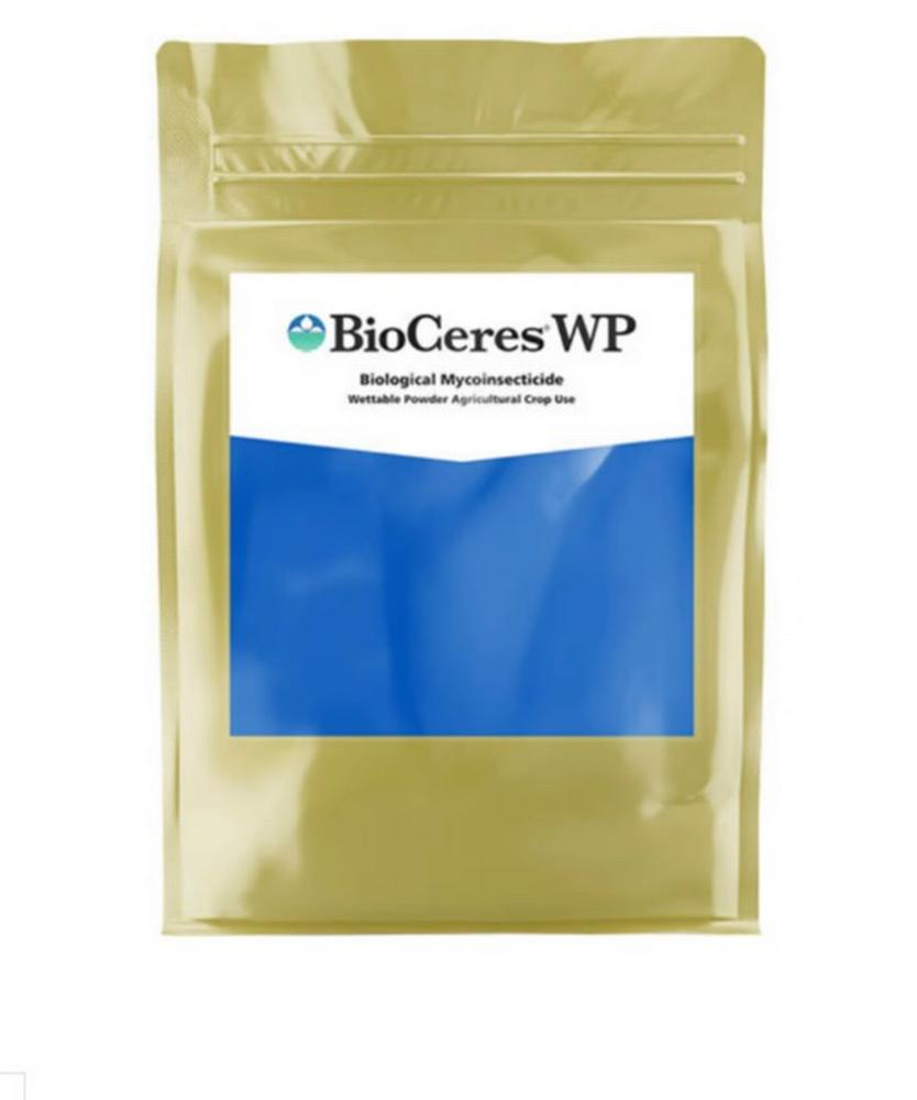 Bioceres WP