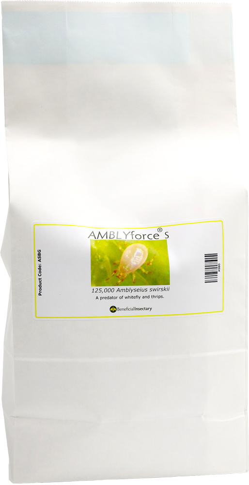 AMBLYforce S with Bran