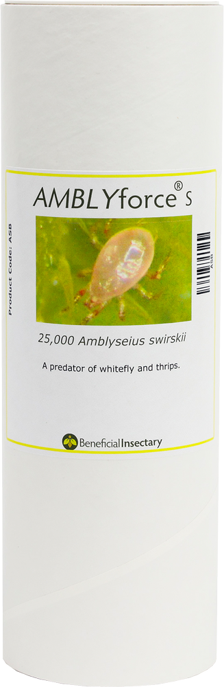 AMBLYforce S with 80% Bran + 20% Verm