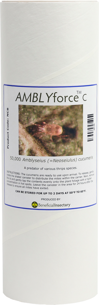 AMBLYforce C with Vermiculite