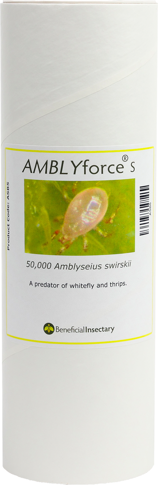 AMBLYforce S with 80% Bran + 20% Verm