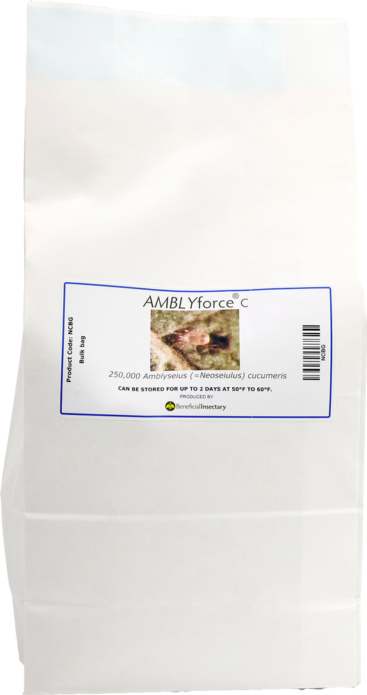 AMBLYforce C with Vermiculite