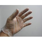 Vinyl Disposable Gloves - Medium