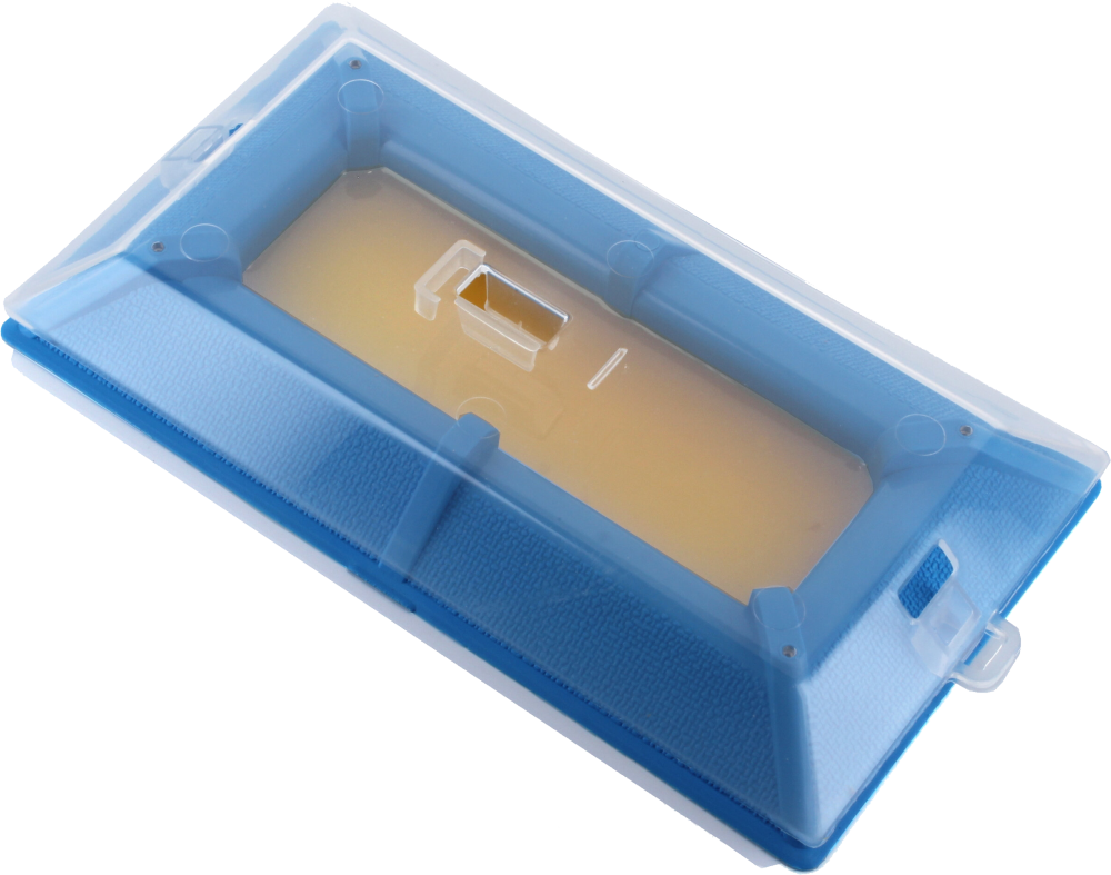 All Beetle Trap Kit with RTU Gel Cartridge