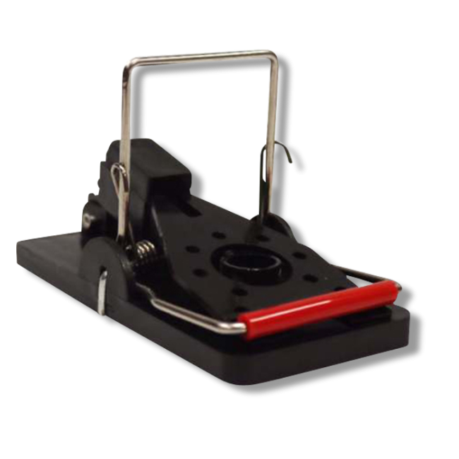 Solutions Easy Set Mouse Trap