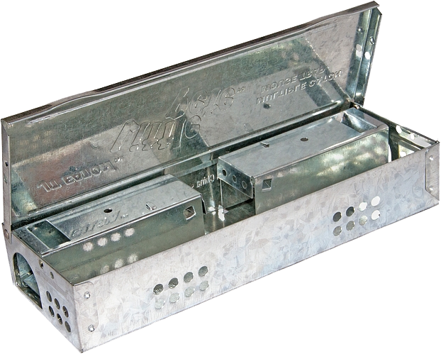 Little Pete Slim Multiple Catch Mouse Trap - Clear with Solid Lid