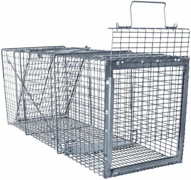 Safeguard Professional Rear Release Cage Trap Dogs and Coyotes