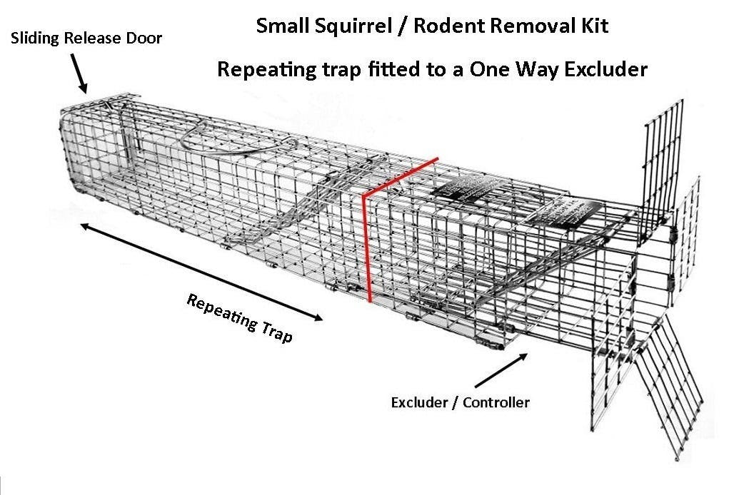 Squirrel Pack Squirrel Removal System SP40