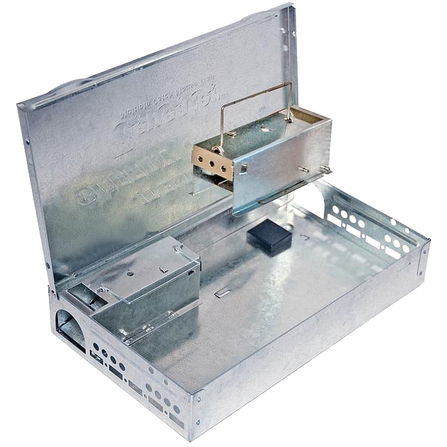 Speedy Clean Repeater Mouse Trap with Removable Ramps