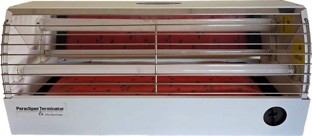 Terminator Fly Light - Stainless Steel