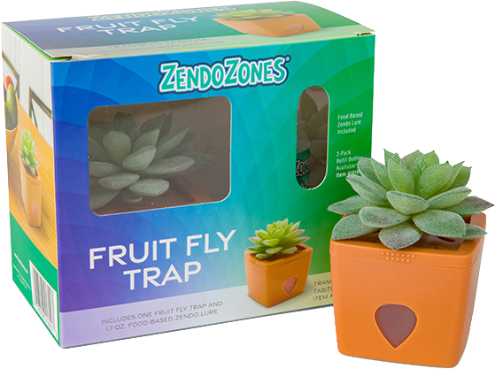 ZendoZones Fruit Fly Trap