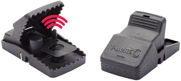 T-Rex iQ Sensing Rat Snap Trap