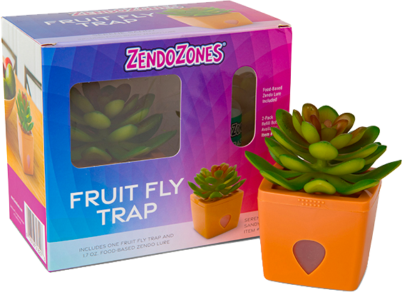 ZendoZones Fruit Fly Trap