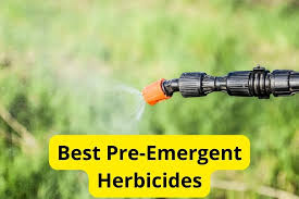 Pre Emergent Herbicides (Weed Preventers)