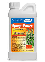 Spurge Killer