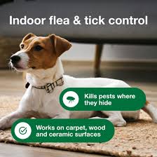 Indoor Flea Control