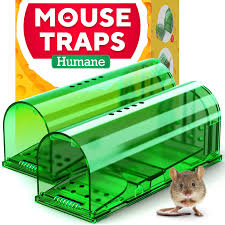 Humane Mouse Traps