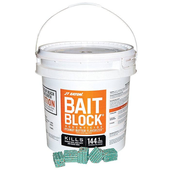 Bait Block - Peanut Butter Flavor