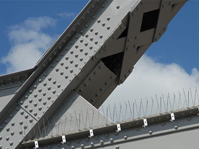 Girder Bird Spikes